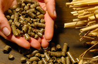 free Nash biomass boiler quotes